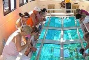 ST_11_el gouna